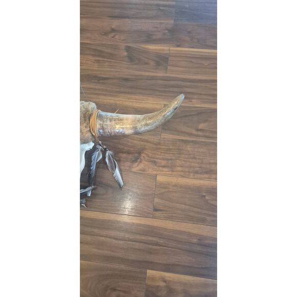 Cow Skull, Authentic Handpainted Bear on the front Wall Hanging, damaged - Picture 8 of 12